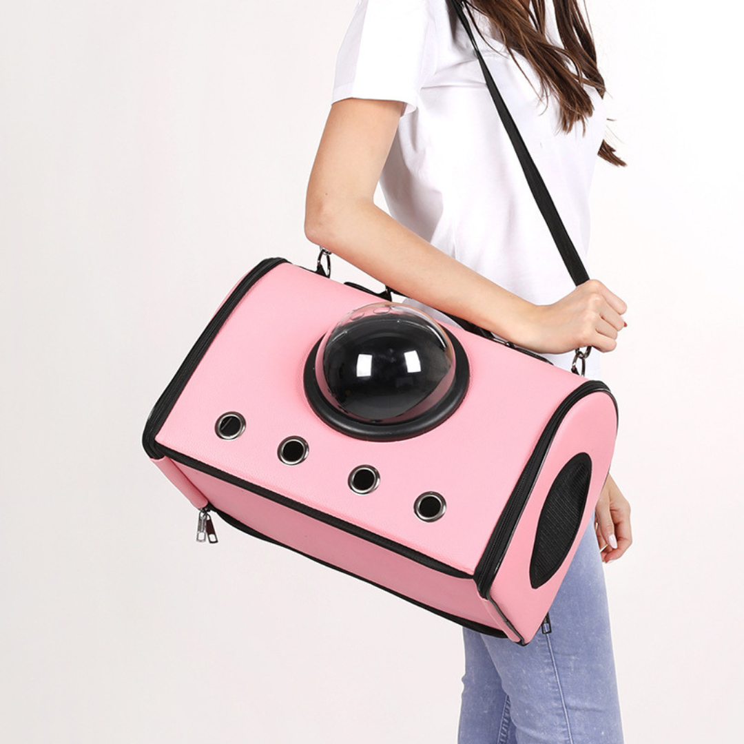 Vliegtuig en Auto Reisetas voor Huisdieren