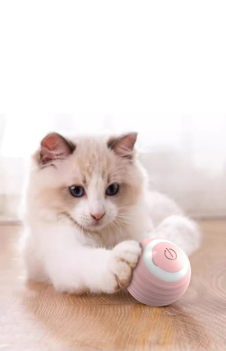 Interactieve Katten Speelbal