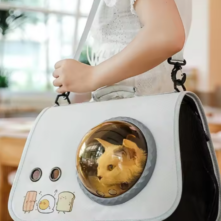 Vliegtuig en Auto Reisetas voor Huisdieren