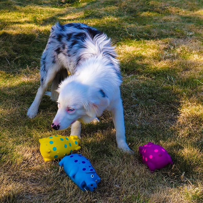 Grunzende Varken - Hondenspeelgoed