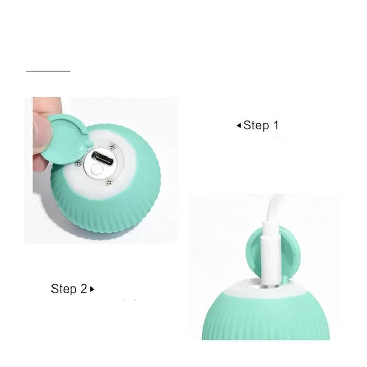 Interactieve Katten Speelbal