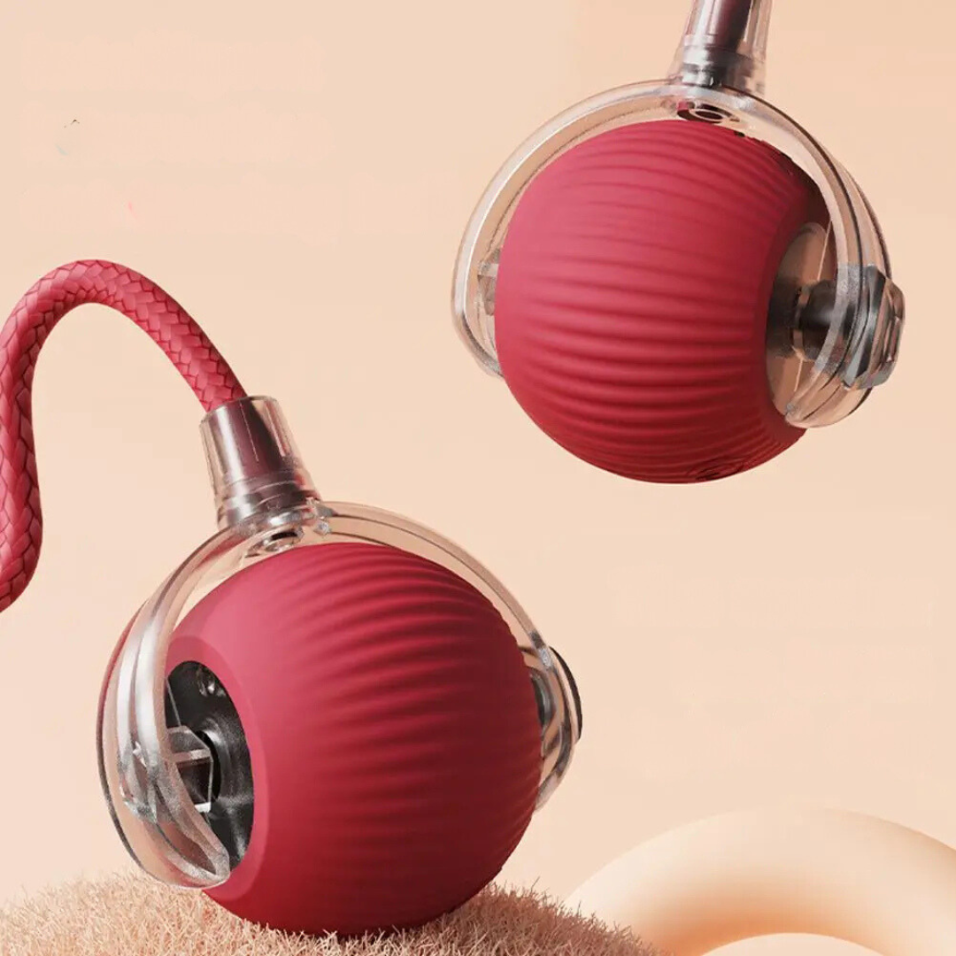 Interactieve speelbal met staart voor katten