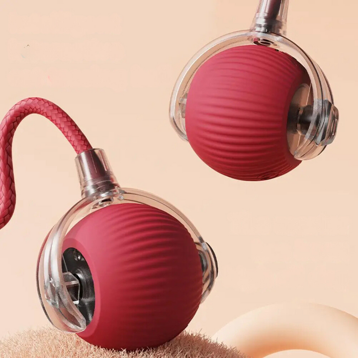 Interactieve speelbal met staart voor katten