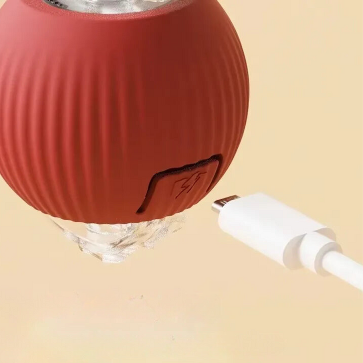 Interactieve Speelbal met Staart voor Honden