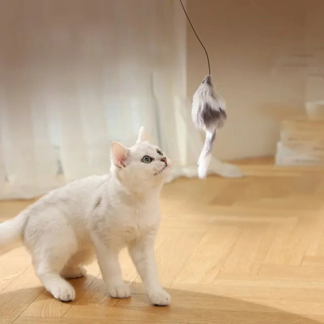 Katten Turboball met Staart Speelgoed