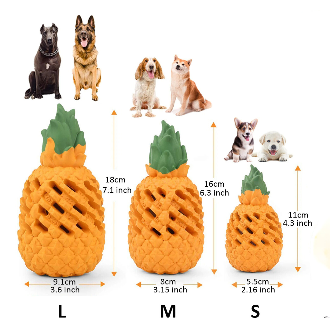 Onverwoestbaar Ananas Kauwspeeltje voor Honden