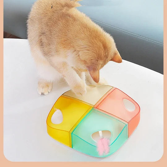 Intelligent Kat Verstop Spielzeug